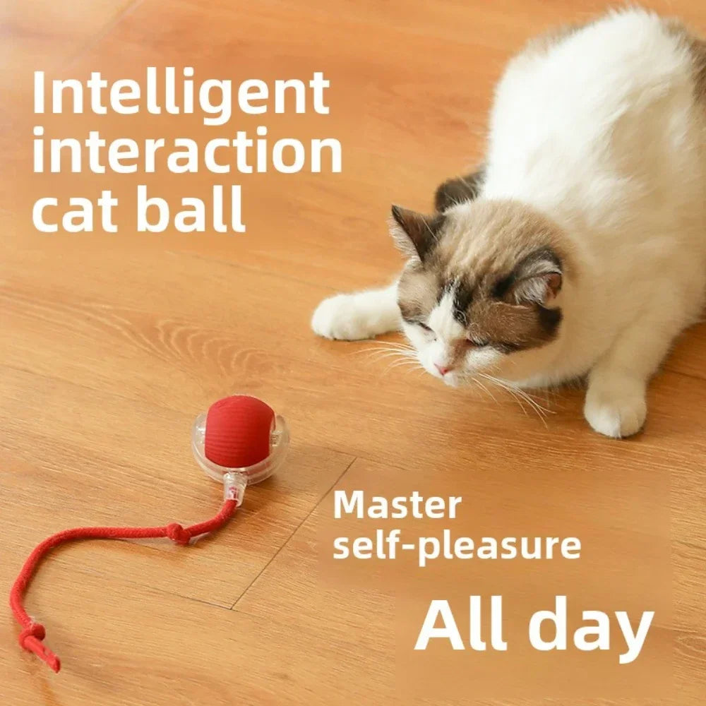 Rechargeable Smart Pet Rolling Ball