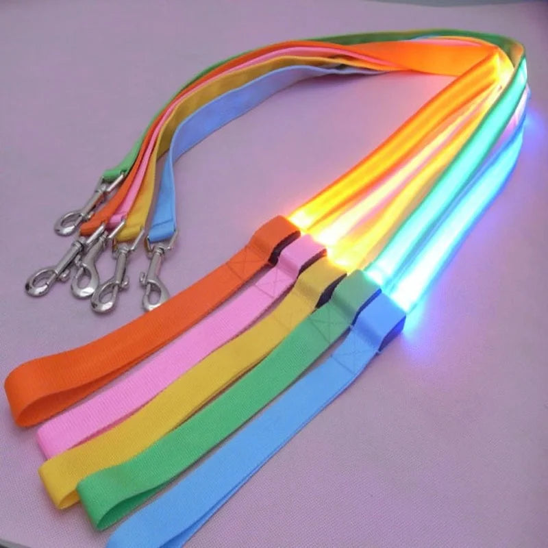 The Luminary Dog Leash