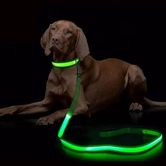 The Luminary Dog Leash