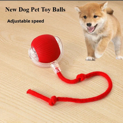 Rechargeable Smart Pet Rolling Ball