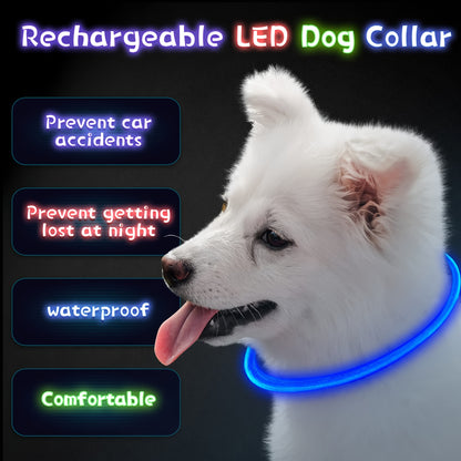 The Luminary Dog Collar