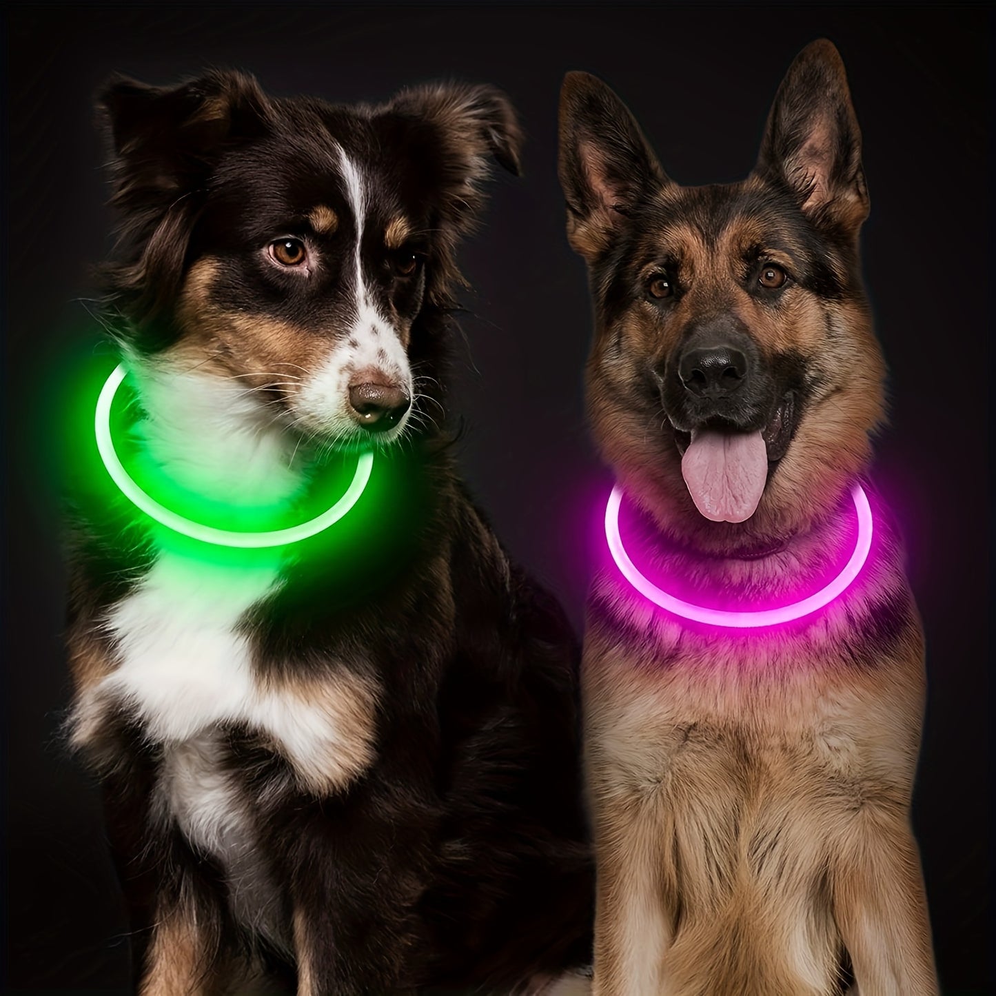 The Luminary Dog Collar