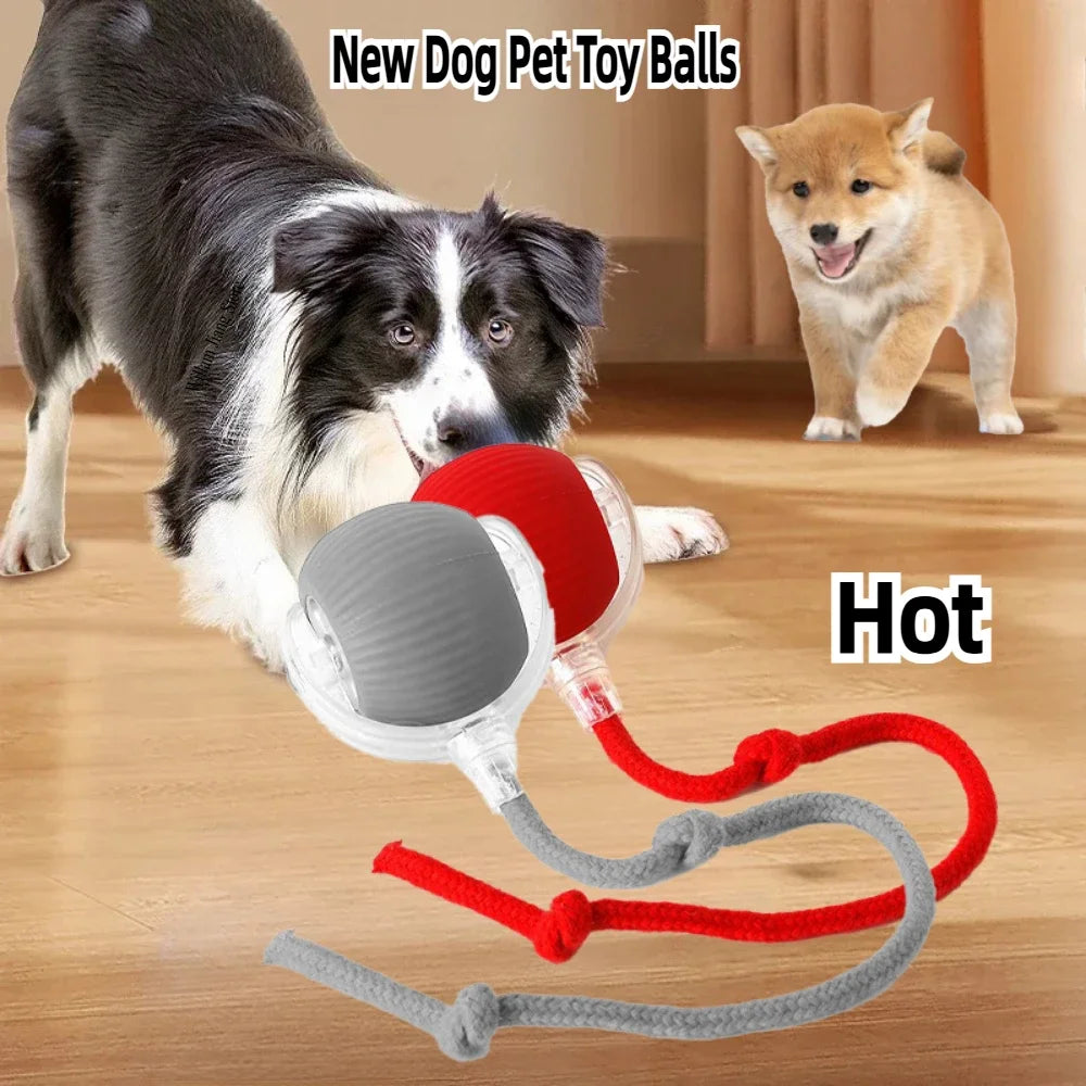 Rechargeable Smart Pet Rolling Ball