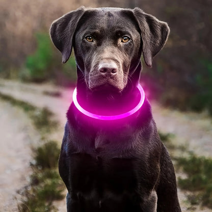 The Luminary Dog Collar