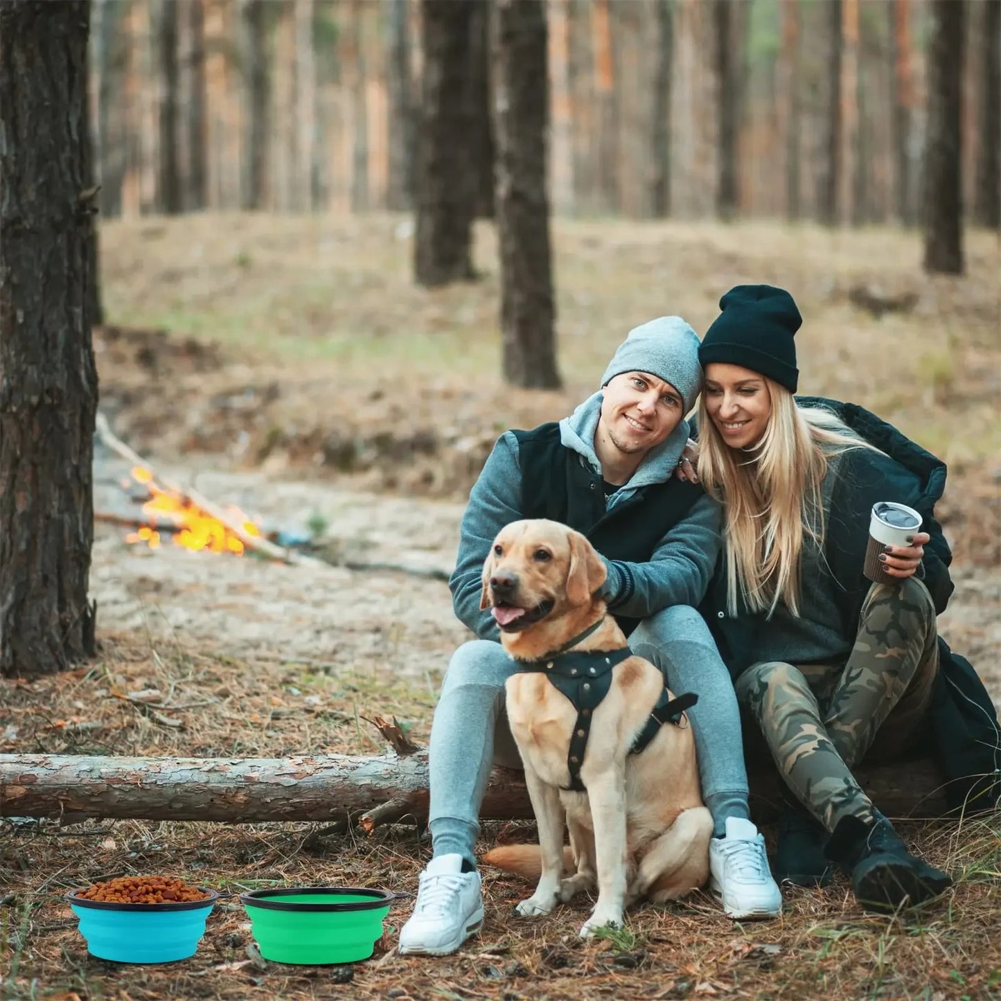 Foldable Dog Water Bowl With Lid