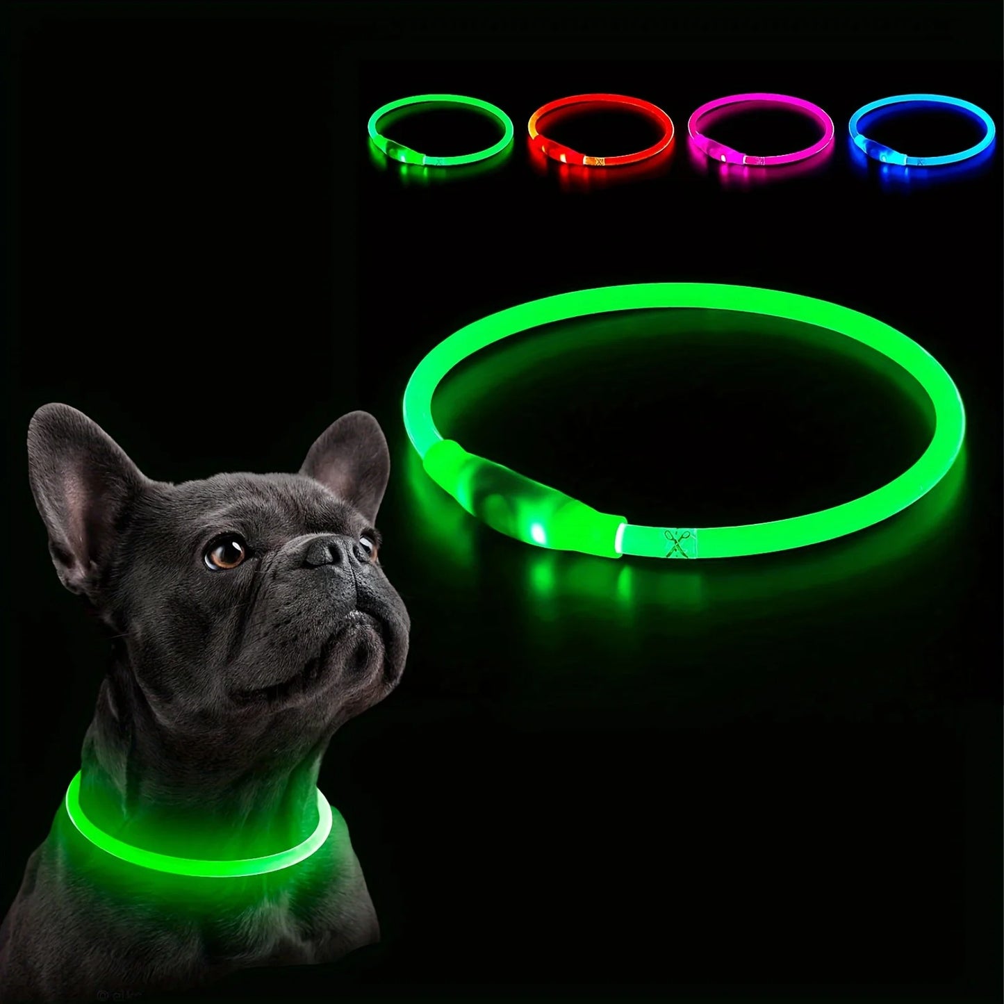 The Luminary Dog Collar